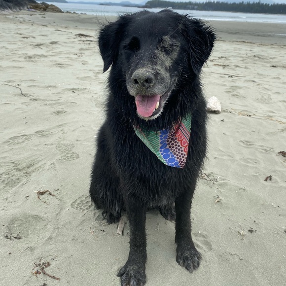 Meet your Posher, La - Picture 1 of 1